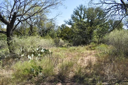Rochelle, TX 76827 McCulloch County