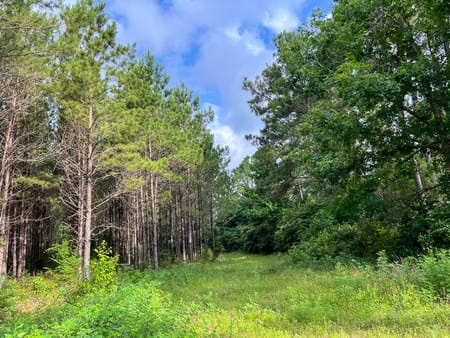 Willis, TX 77378 San Jacinto County