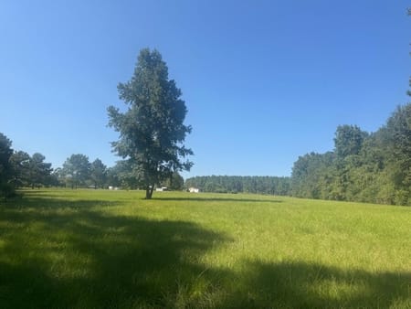 Livingston, TX 77351 Polk County