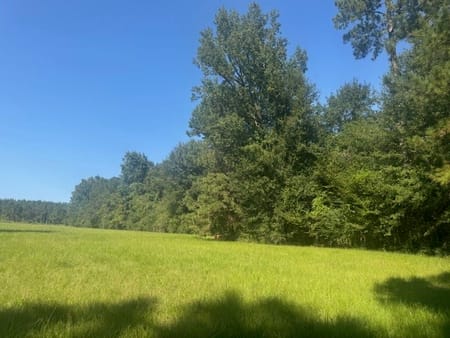 Livingston, TX 77351 Polk County
