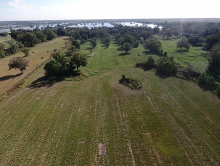Damon, TX 77430 Brazoria County