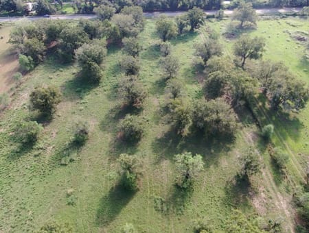Damon, TX 77430 Brazoria County