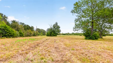 Leona, TX 75850 Leon County