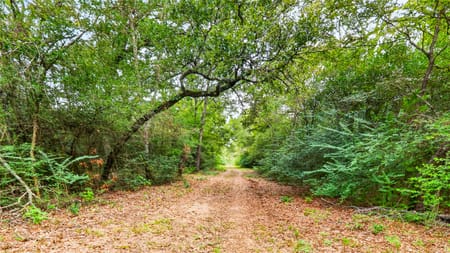 Leona, TX 75850 Leon County