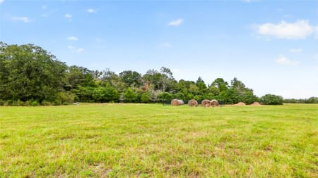 Leona, TX 75850 Leon County