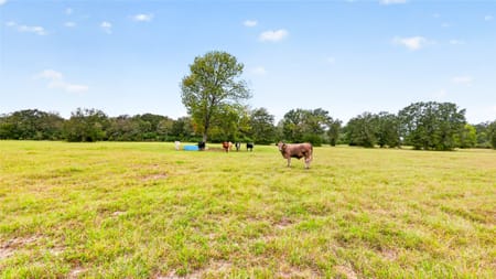 Leona, TX 75850 Leon County