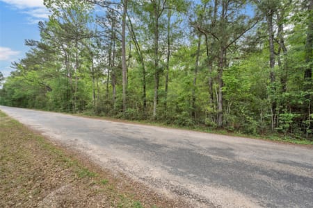 Richards, TX 77873 Walker County