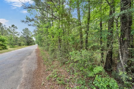 Richards, TX 77873 Walker County