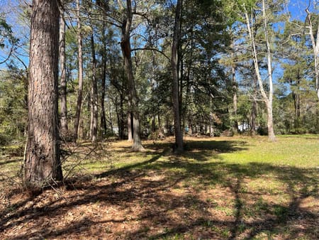 Conroe, TX 77302 Montgomery County