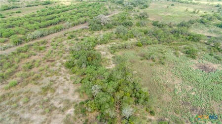 Yorktown, TX 77954 DeWitt County