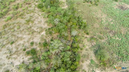 Yorktown, TX 77954 DeWitt County