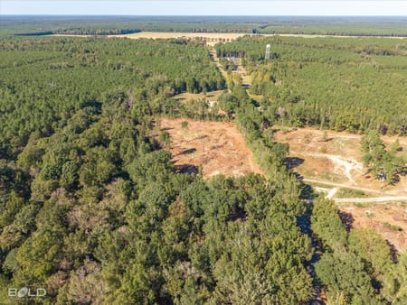 Minden, LA 71055 Webster Parish
