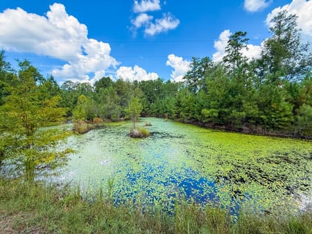Jasper, TX 75951 Jasper County