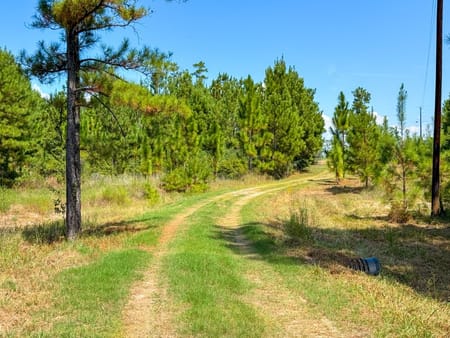 Jasper, TX 75951 Jasper County