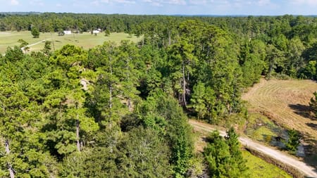 Jasper, TX 75951 Jasper County