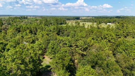 Jasper, TX 75951 Jasper County