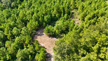 Jasper, TX 75951 Jasper County