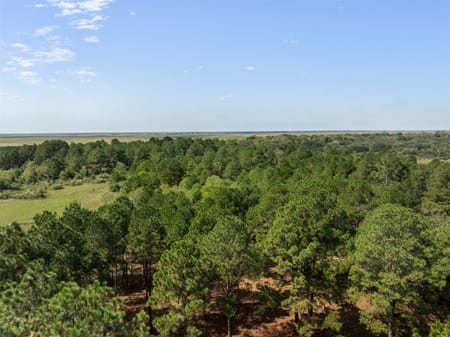 Sealy, TX 77474 Austin County