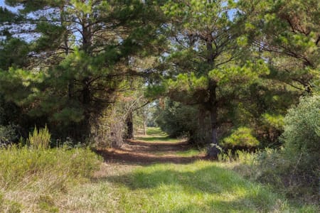 Sealy, TX 77474 Austin County