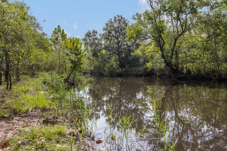 Sealy, TX 77474 Austin County