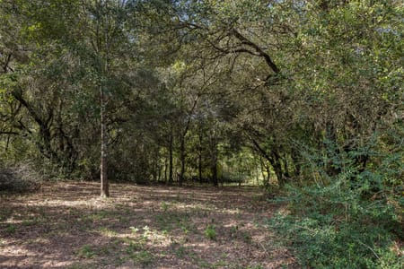 Sealy, TX 77474 Austin County