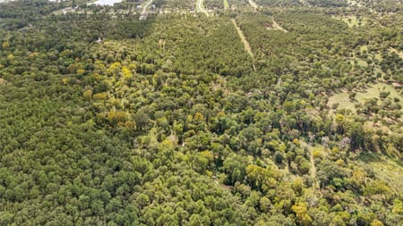 Conroe, TX 77303 Montgomery County