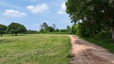 Bellville, TX 77418 Austin County