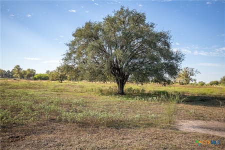 Yorktown, TX 78164 DeWitt County