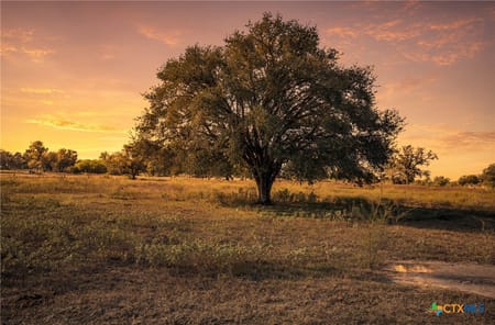 Yorktown, TX 78164 DeWitt County