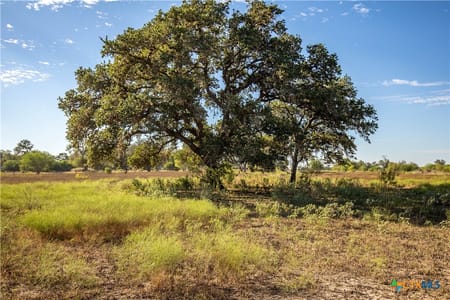 Yorktown, TX 78164 DeWitt County