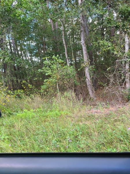 Cleveland, TX 77328 San Jacinto County