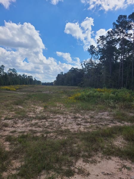Cleveland, TX 77328 San Jacinto County