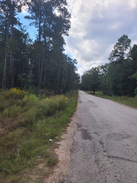 Cleveland, TX 77328 San Jacinto County