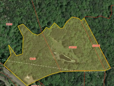 Chester, TX 75936 Tyler County