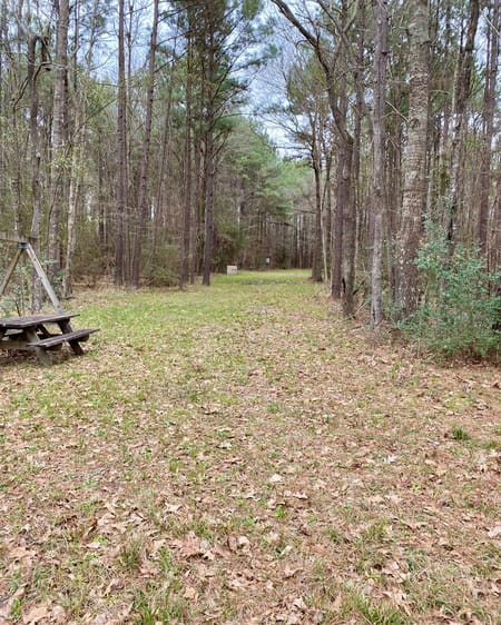 Chester, TX 75936 Tyler County