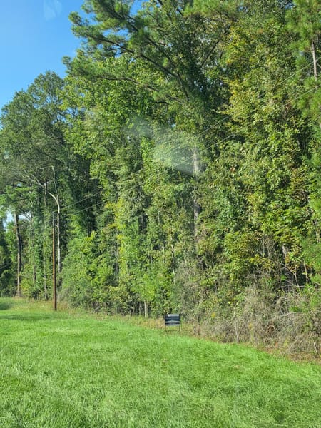 Chester, TX 75936 Tyler County