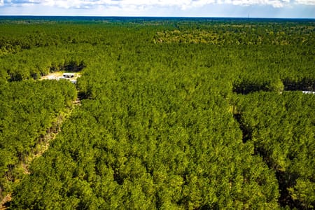 Livingston, TX 77351 Polk County