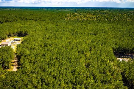 Livingston, TX 77351 Polk County