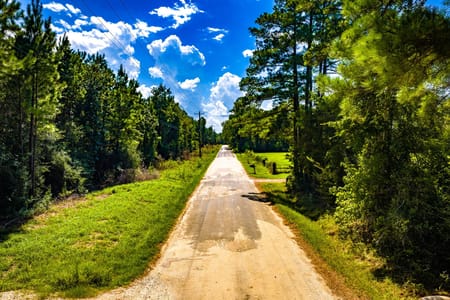 Livingston, TX 77351 Polk County