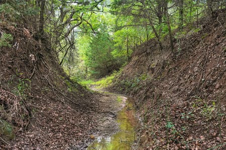 Forestburg, TX 76239 Montague County