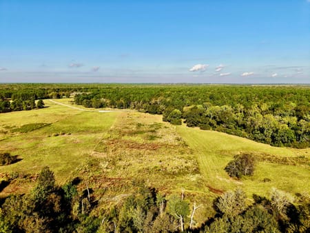 Crockett, TX 75835 Houston County