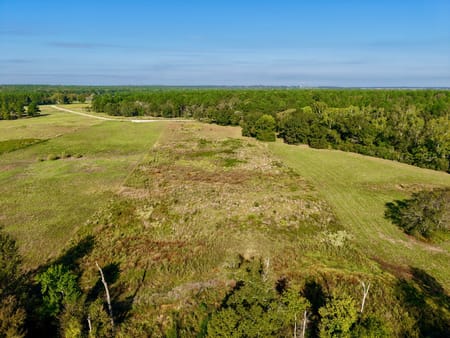 Crockett, TX 75835 Houston County