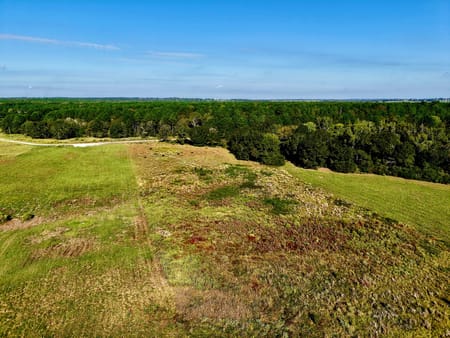 Crockett, TX 75835 Houston County