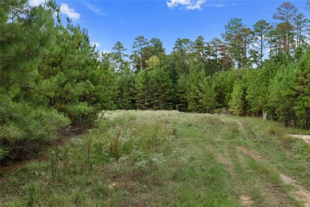 Mount Enterprise, TX 75760 Rusk County