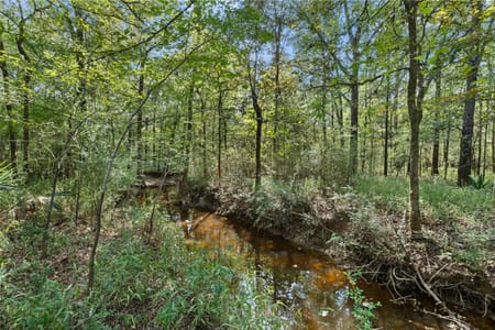 Mount Enterprise, TX 75760 Rusk County