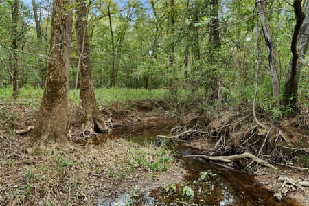 Mount Enterprise, TX 75760 Rusk County