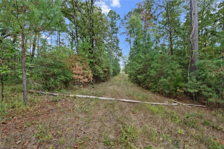 Mount Enterprise, TX 75760 Rusk County