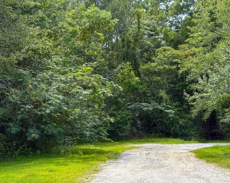 Kountze, TX 77625 Hardin County