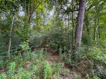Kountze, TX 77625 Hardin County