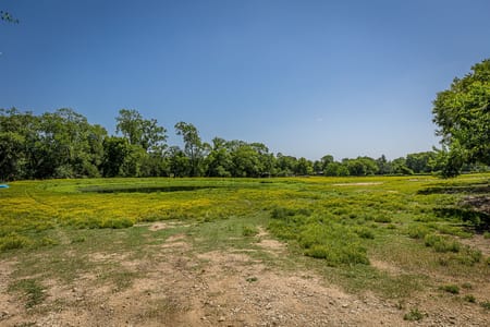 Montgomery, TX 77356 Montgomery County